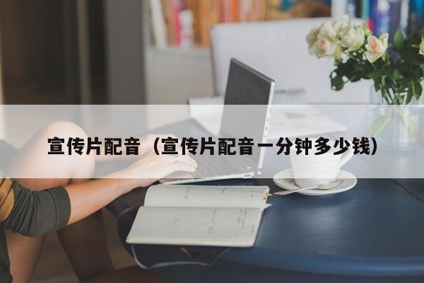 宣传片配音（宣传片配音一分钟多少钱）